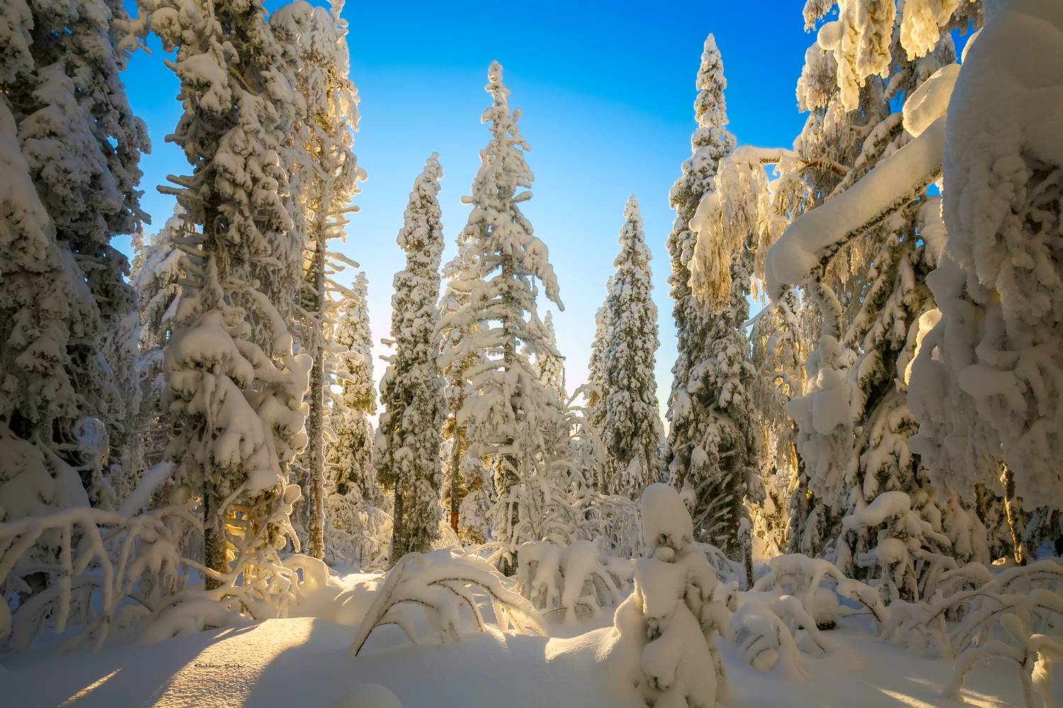 , Евдокимов Сергей
