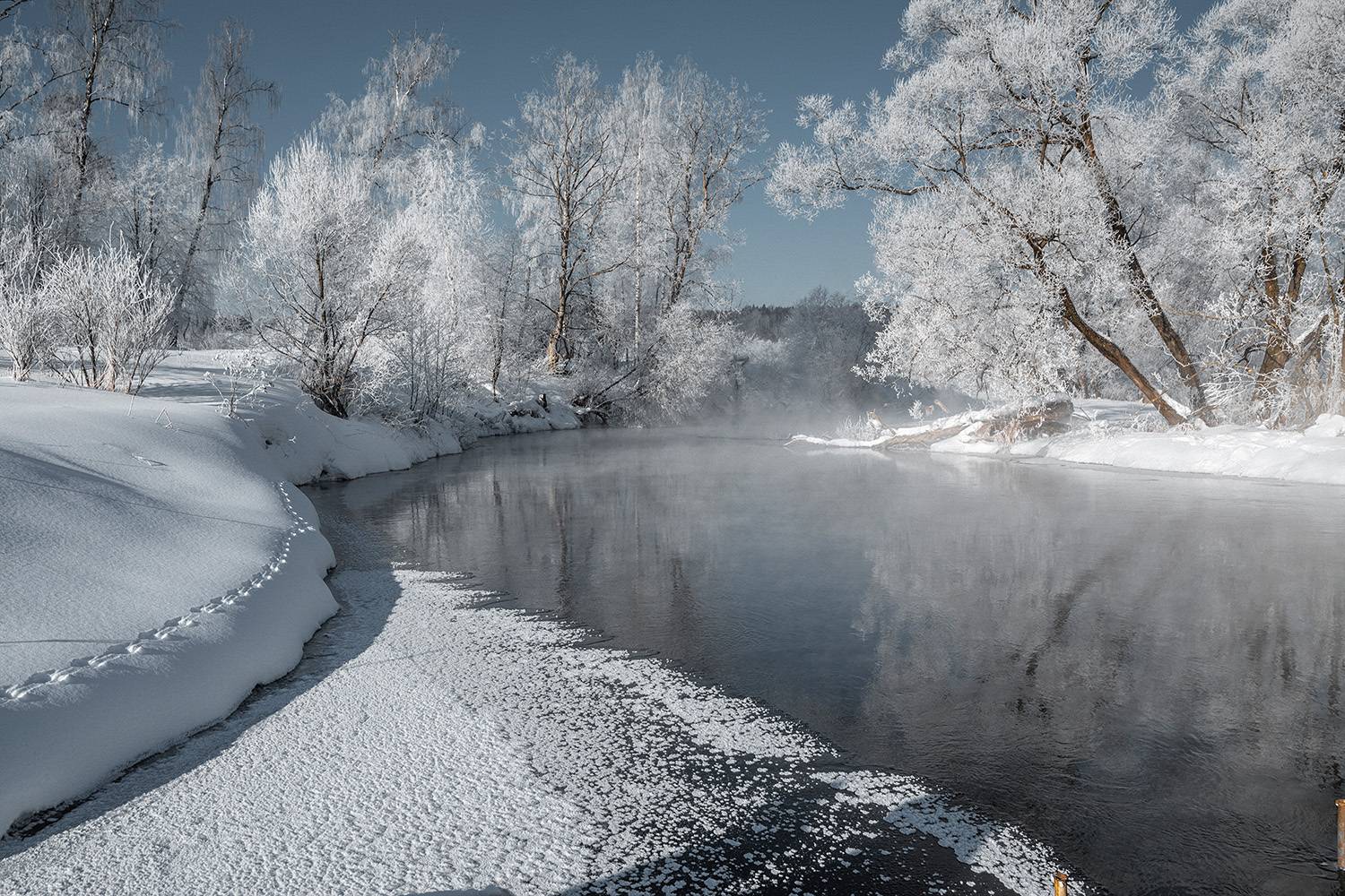 , Анатолий Зверев