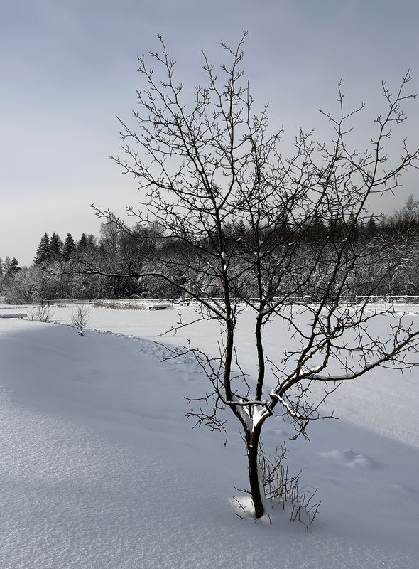 *** фото превью