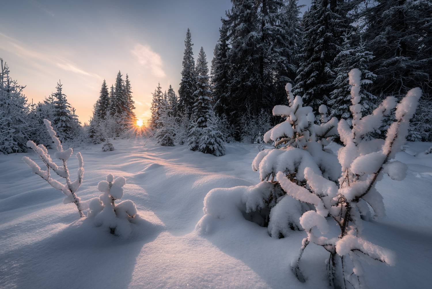 , Алексей Турчин