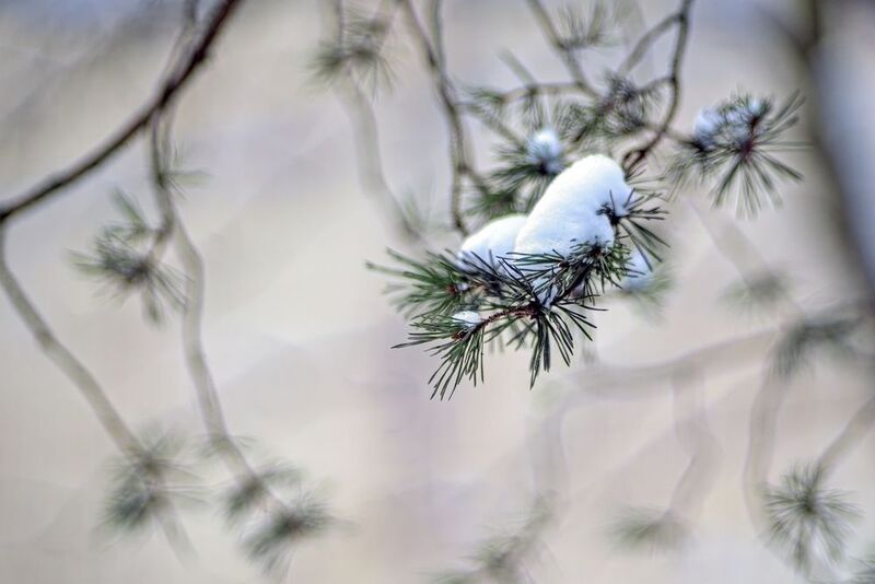 *** фото превью