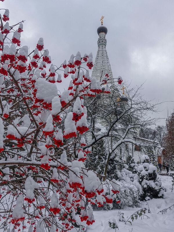 *** фото превью