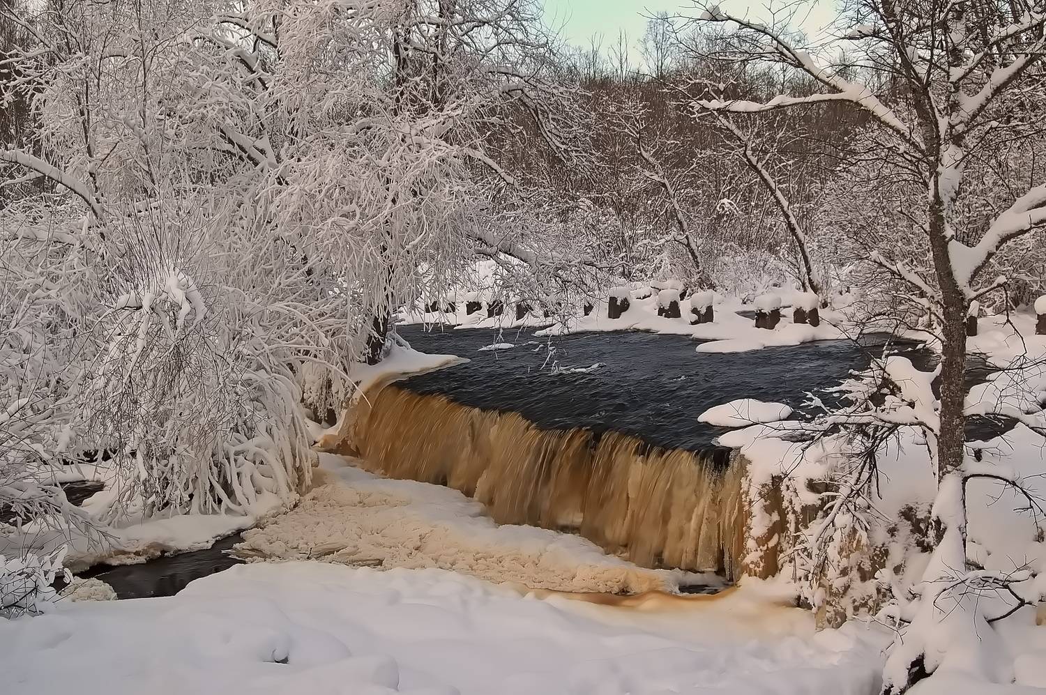 , Николаев Владимир