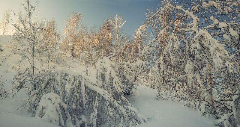 Жила зима в избушке... фото превью