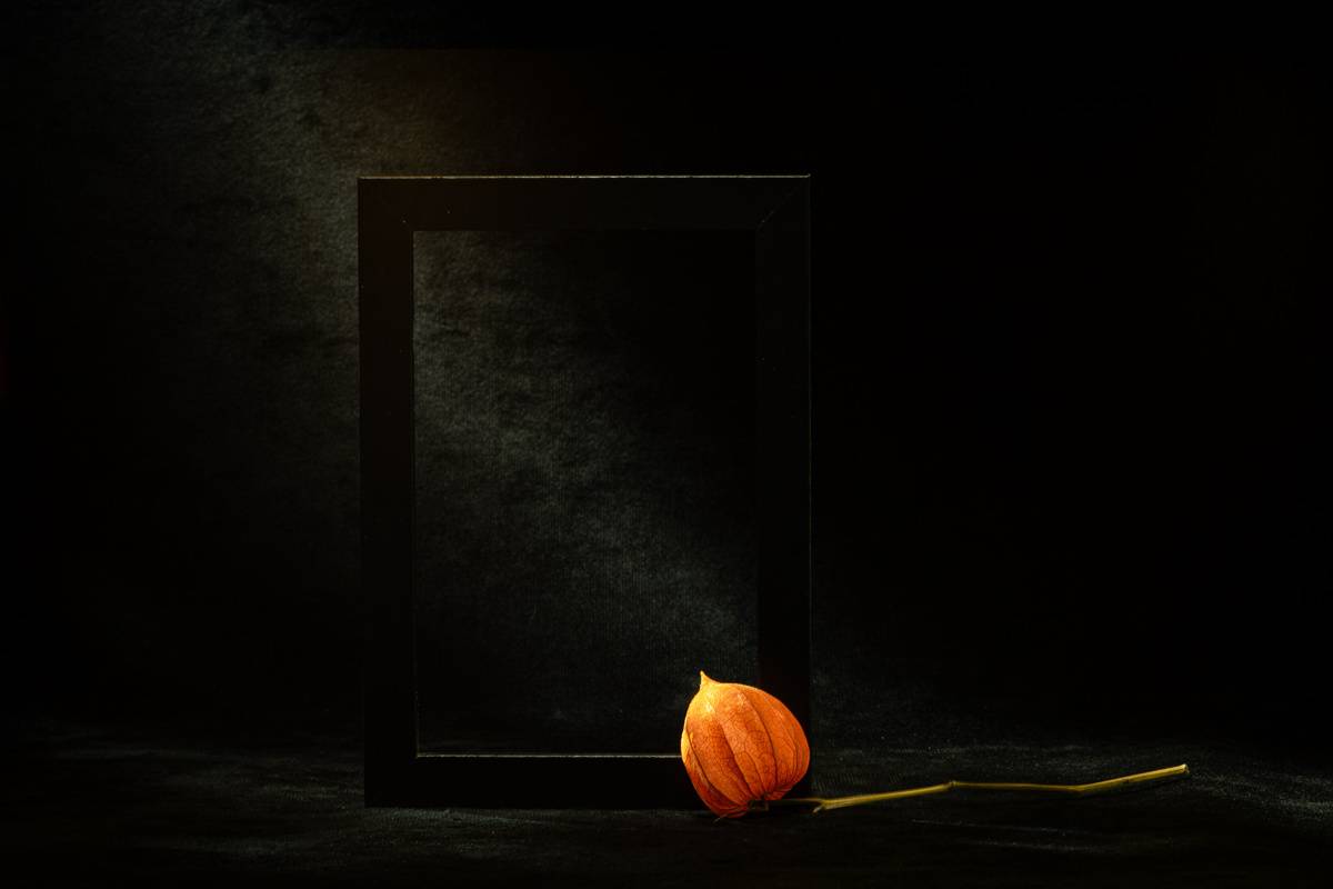 , Игорь Копцев