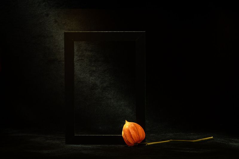 Этюд с физалисом II фото превью