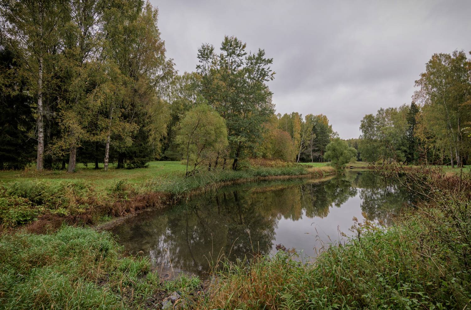 спб., павловск., осень., Тихонов Дмитрий