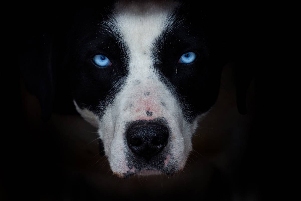 , Антипов Игорь