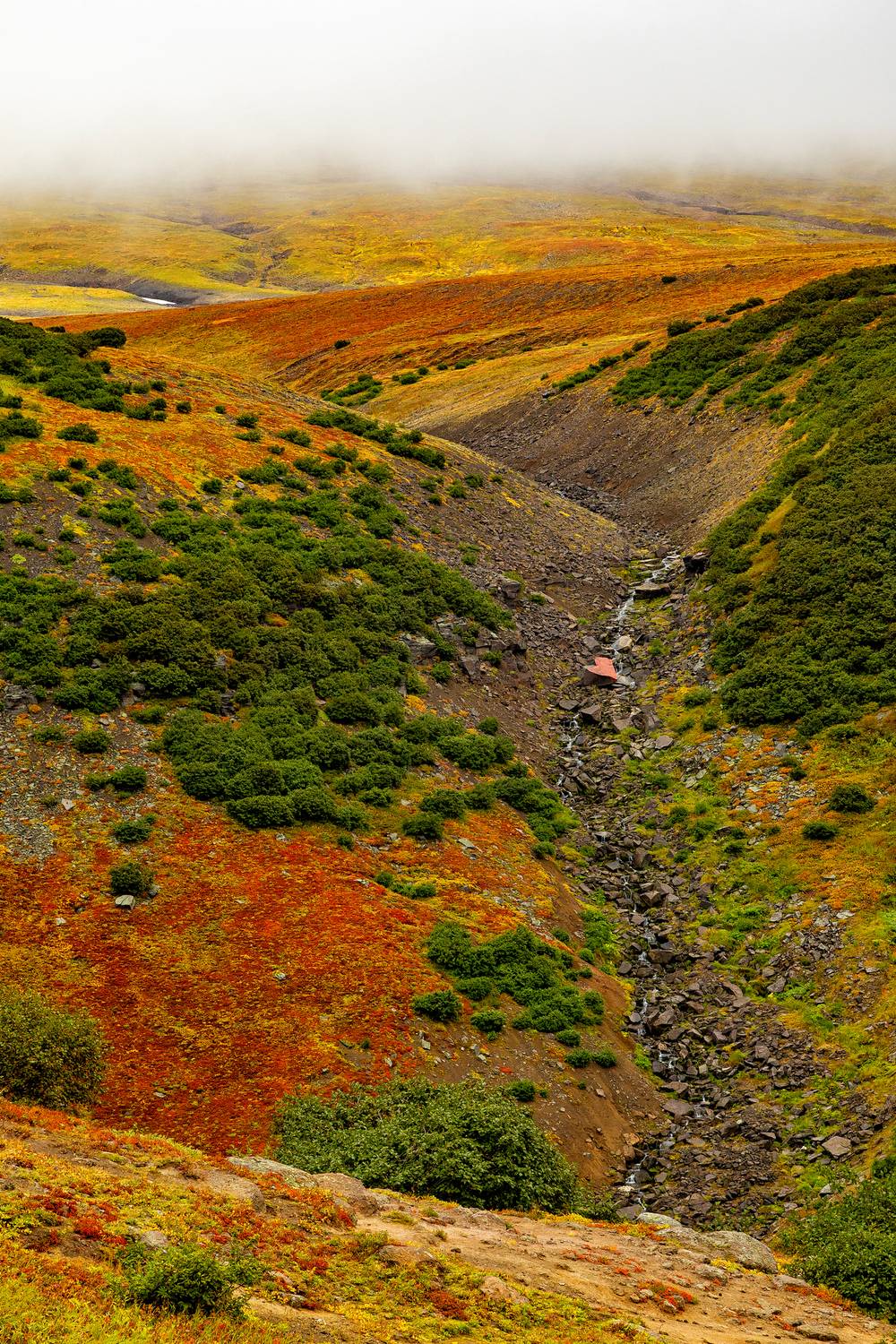 камчатка, дачные источники, природа, малая долина гейзеров, дачные источники, Подосинников Максим