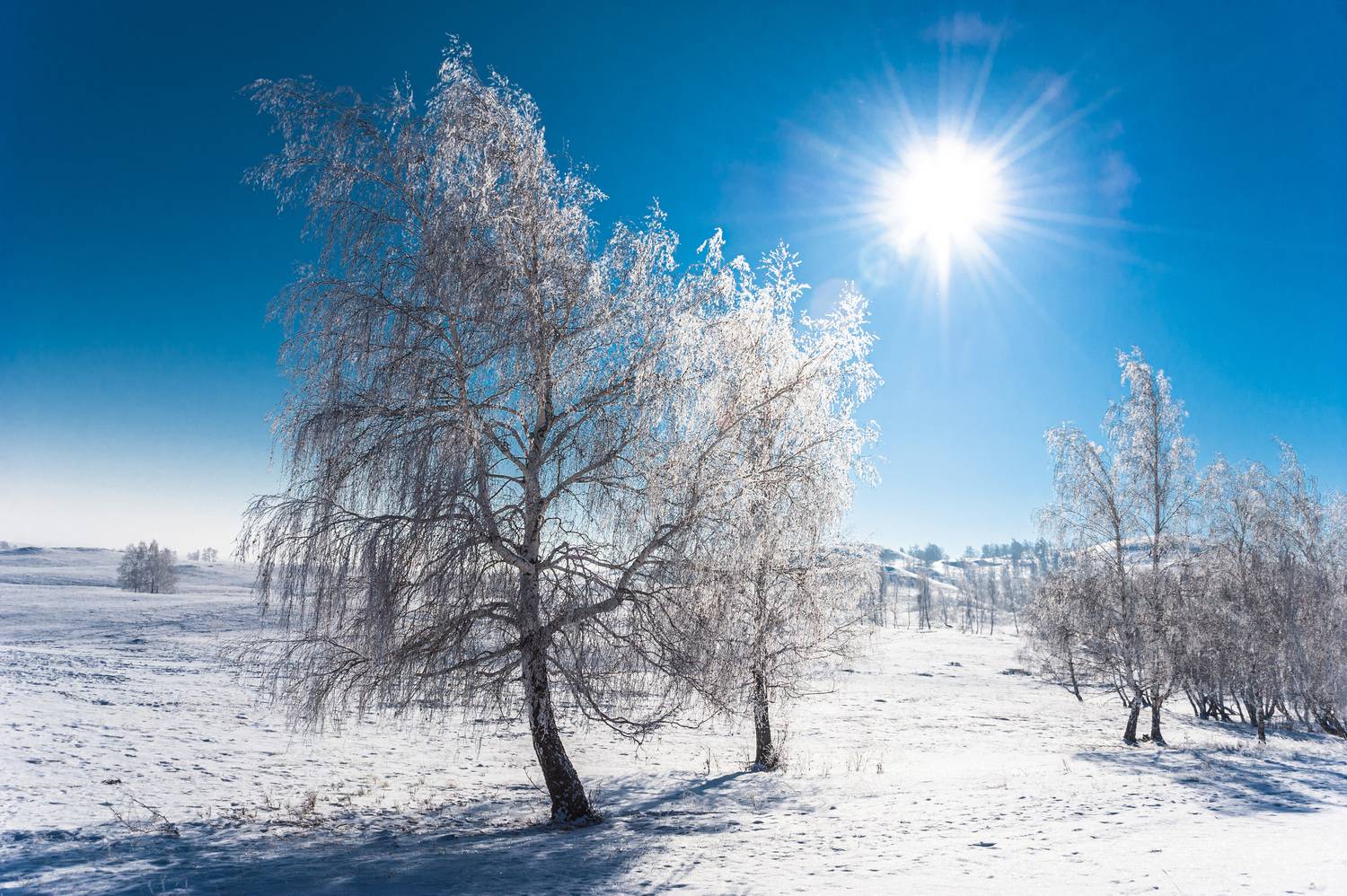, Шустиков Дмитрий
