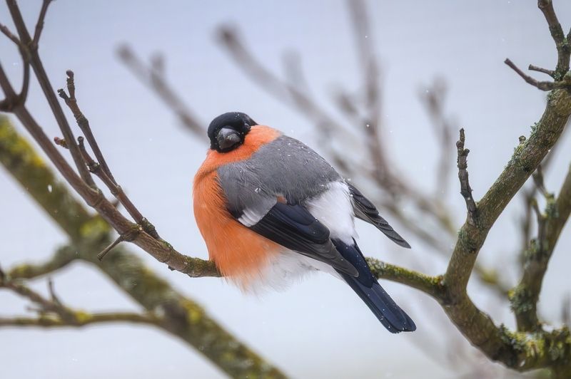 Ребята с нашего двора фото превью