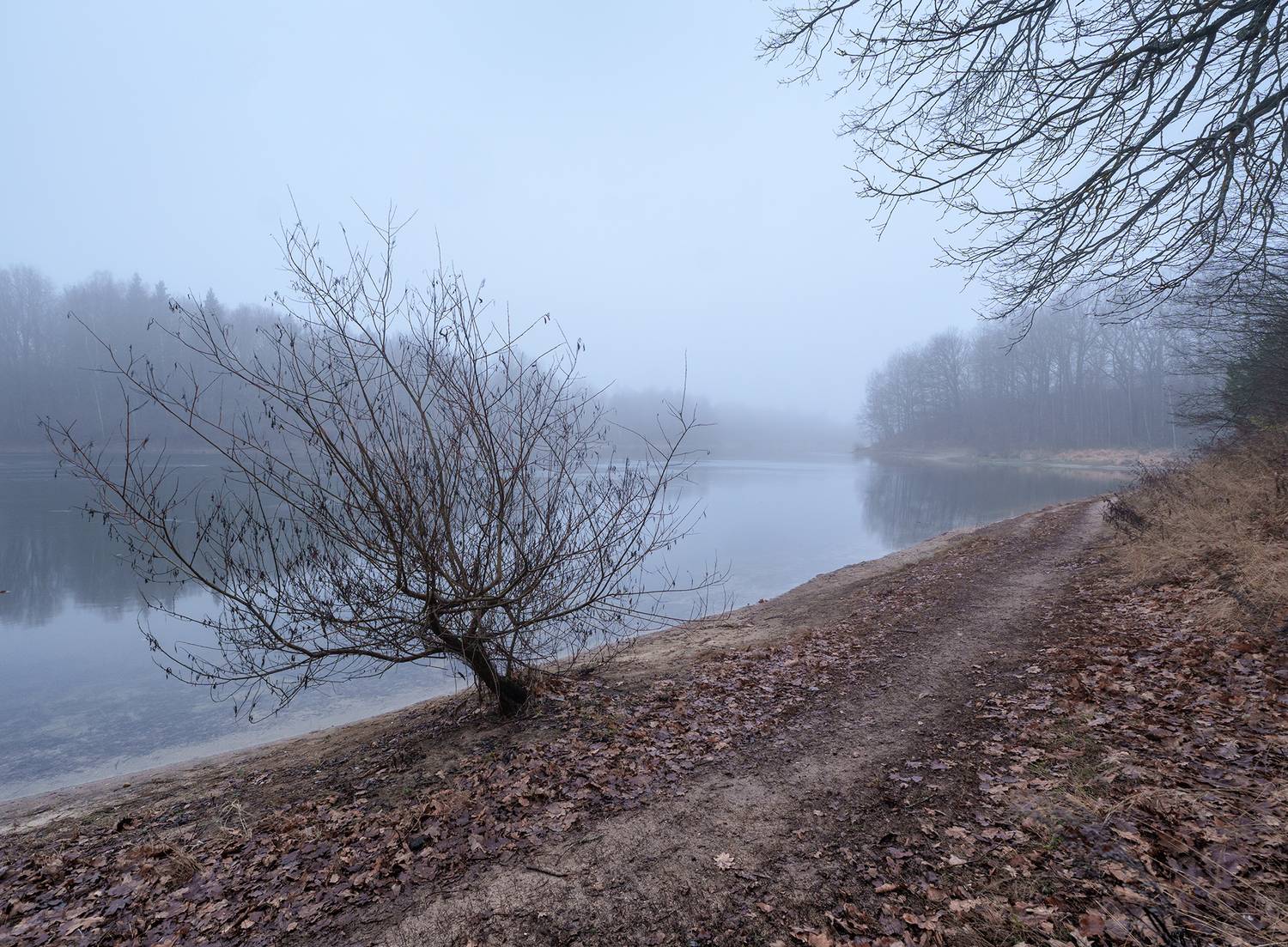 , Андреев Николай