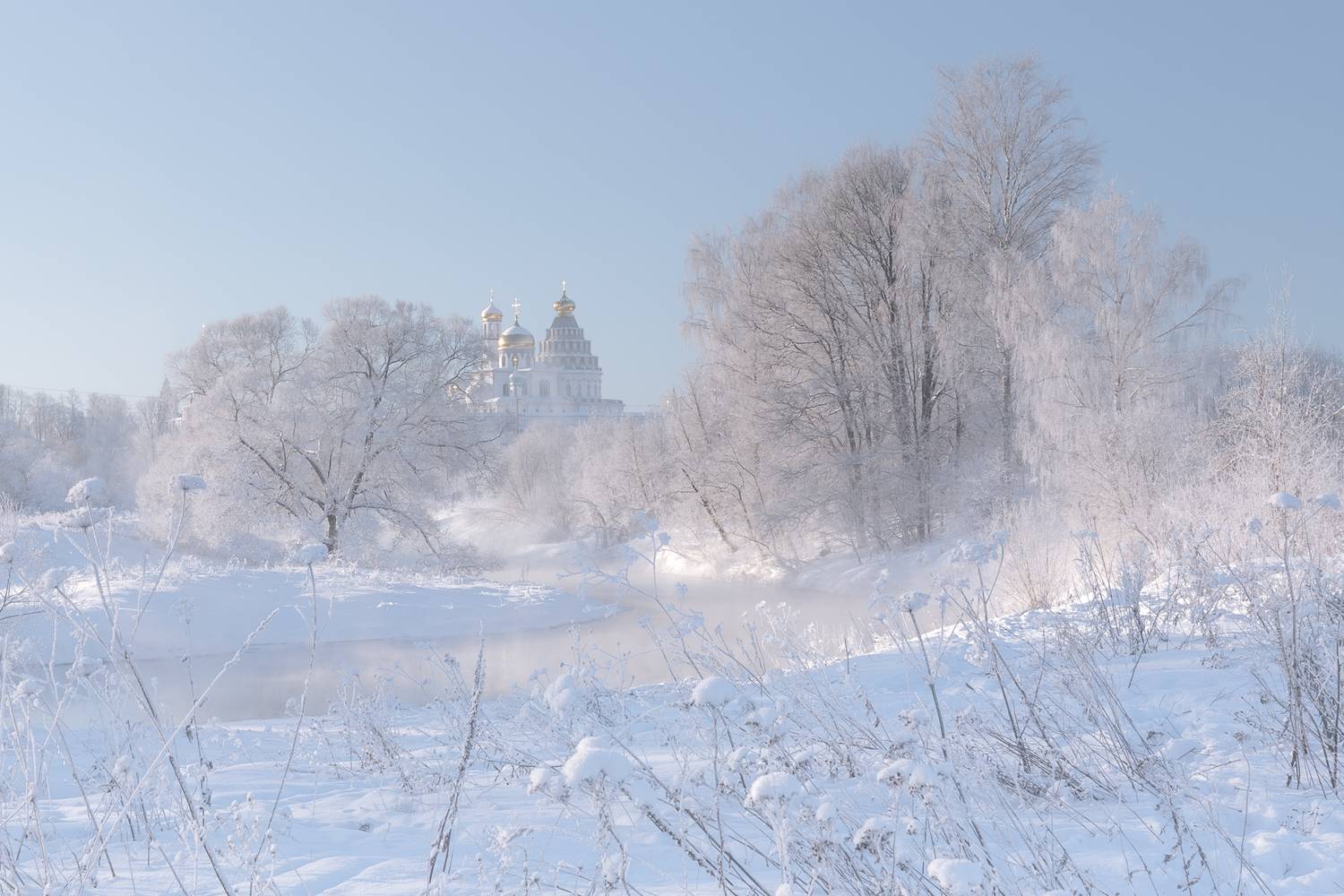 Истра, Гусева Елена