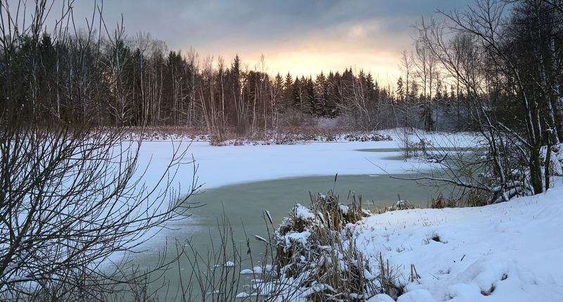 Московская обл пришла зима... фото превью