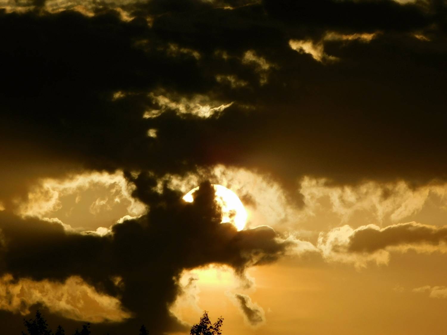 , Сергей Чеченов