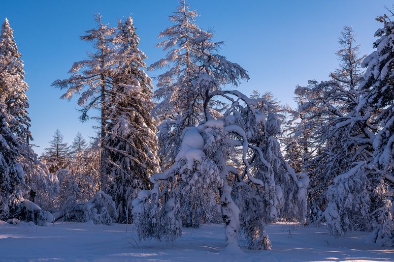 ******* фото превью
