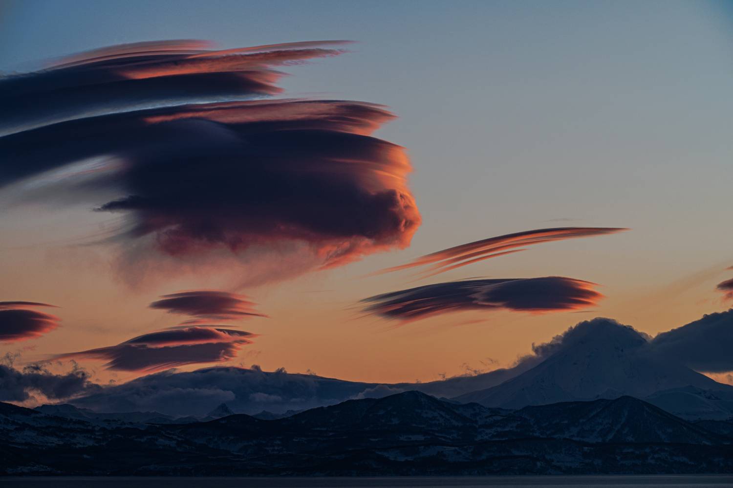 , Александр Мухин