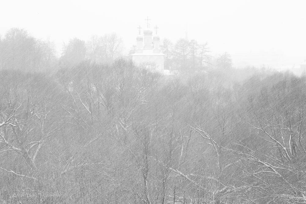 , Чудинин Дмитрий