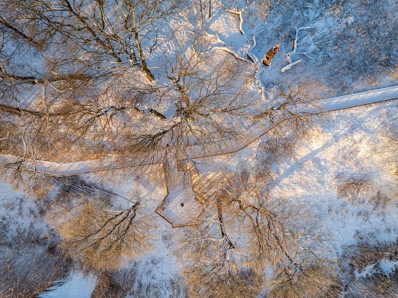 Зимняя зарисовка фото превью