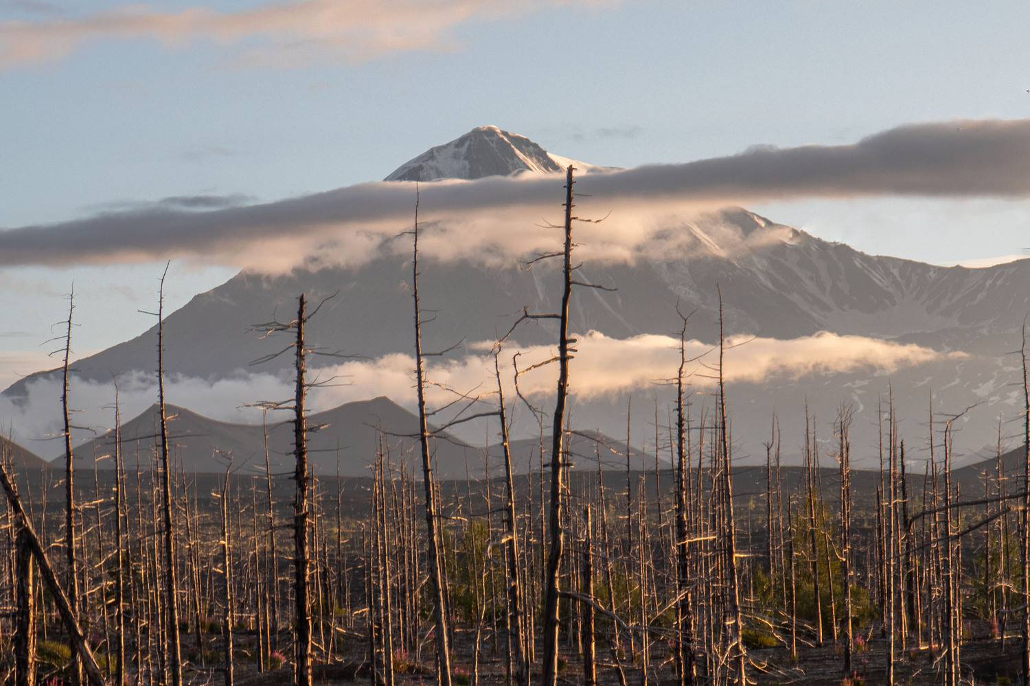 камчатка, Добролюбова Тамара
