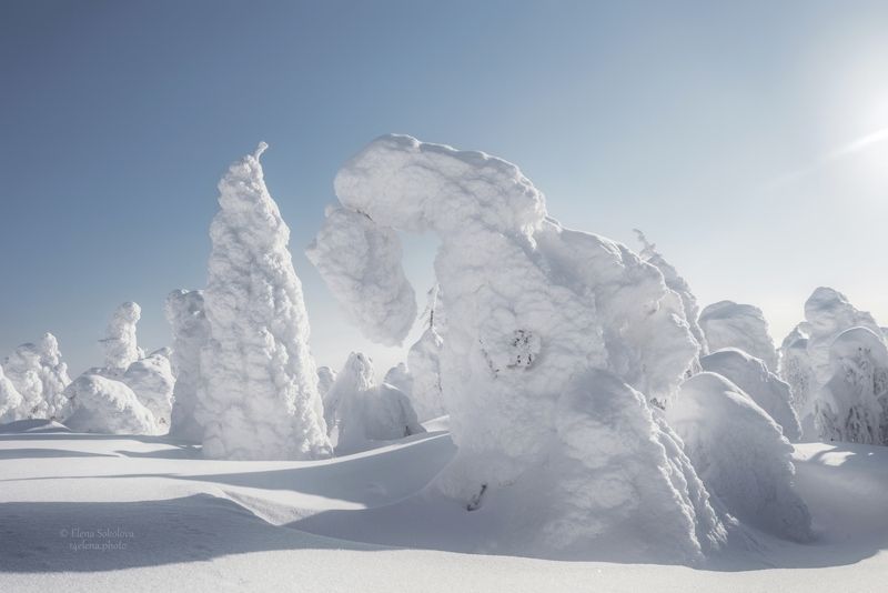 зима Поклон фото превью