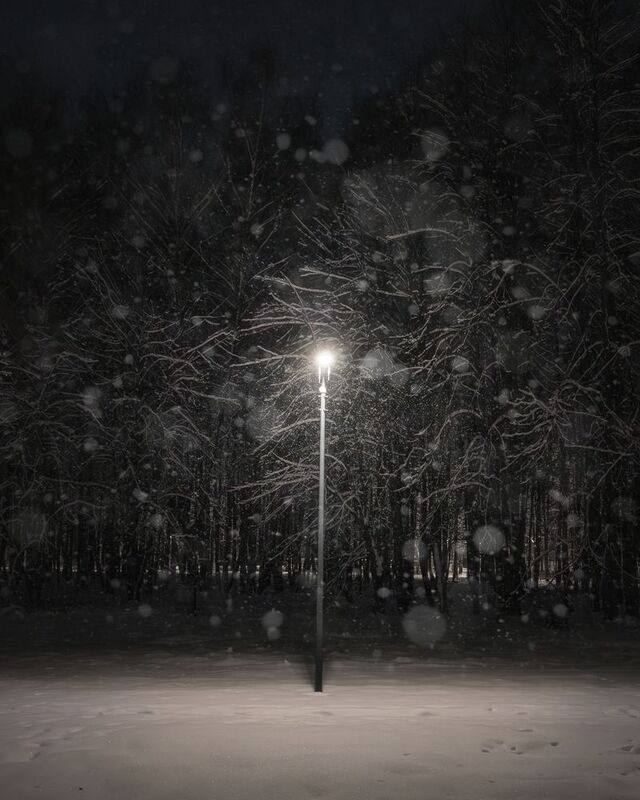 природа, снег, парк, фонарь, Московская область, зима, зимний парк Одиночество фото превью
