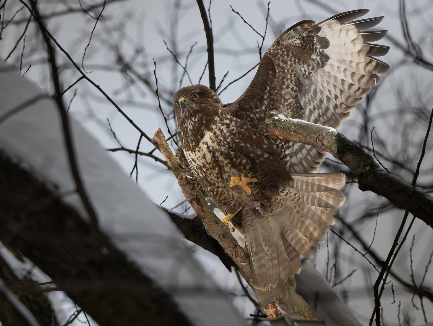 , Ширгин Сергей