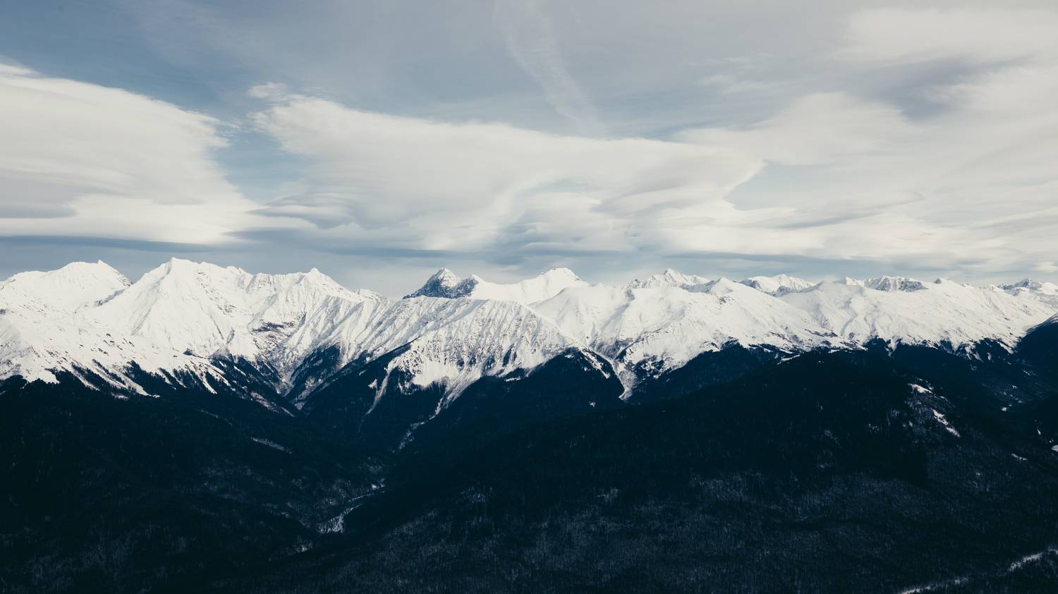 , Терников Александр