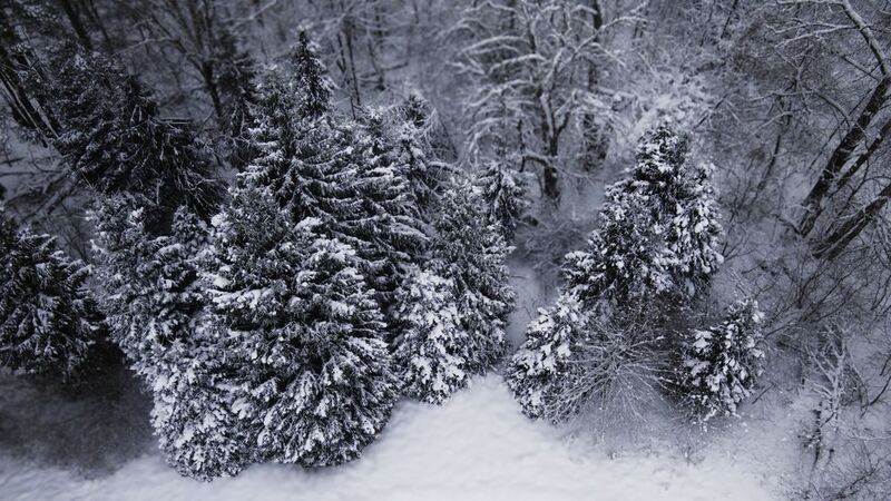 Московская область, Красногорский район, Лохин остров, зима,  Московская зимушка-зима фото превью