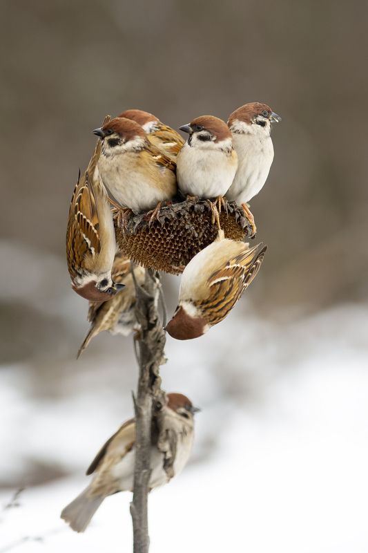 в тесноте, да не в обиде фото превью