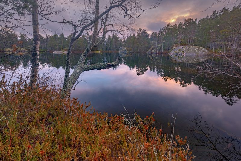 зима, штиль, ладожские шхеры, карелия, ладога, северное приладожье, сортавала, питкяранта, русский север, северная природа, северный пейзаж, пейзажи карелии, фототуры по карелии, фототуры по ладоге, фототур на ладожские шхеры Затянувшееся предзимье фото превью