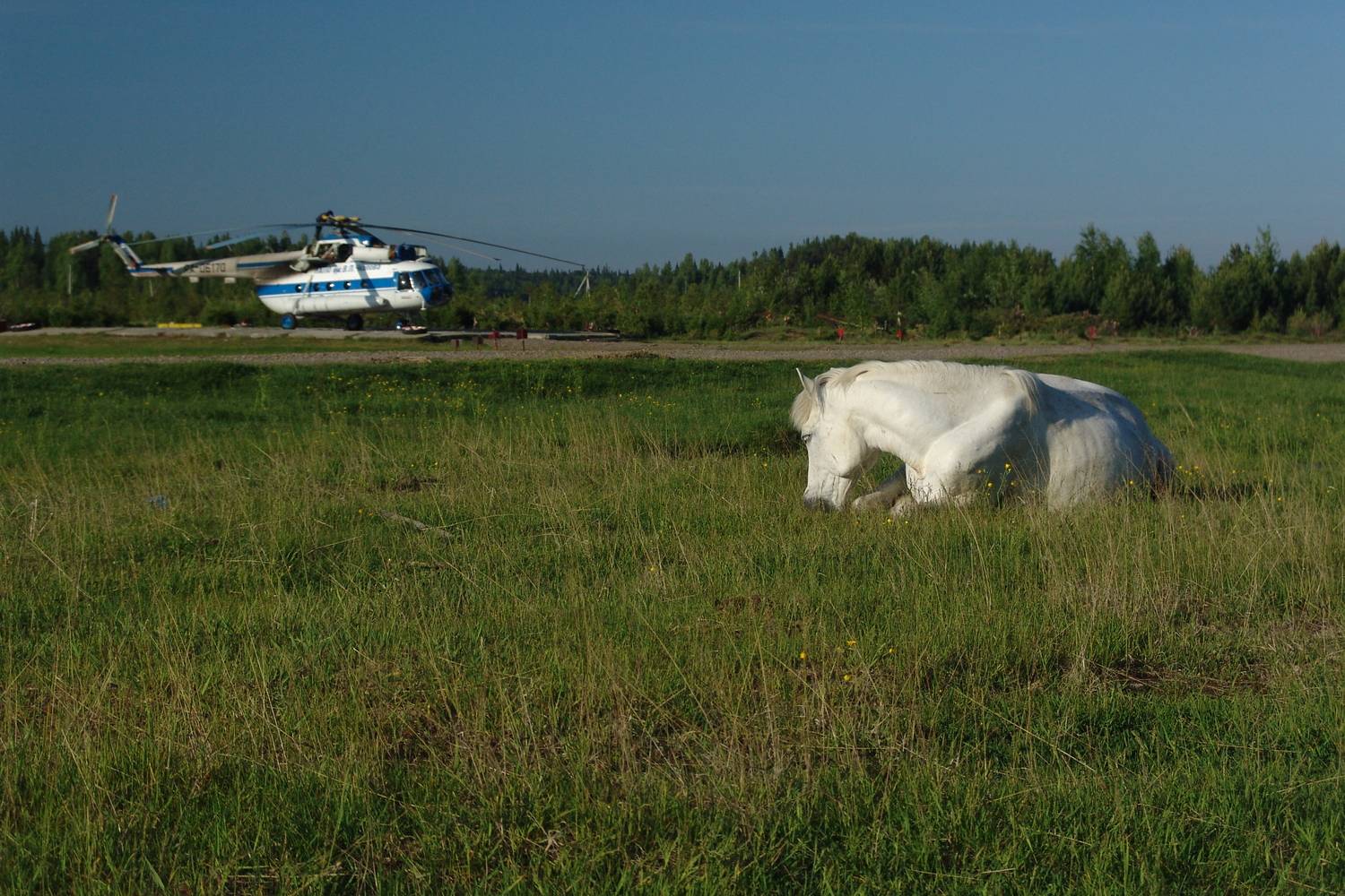 , Михаил Дронов
