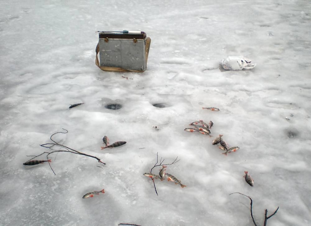 , Савоцкий Роман