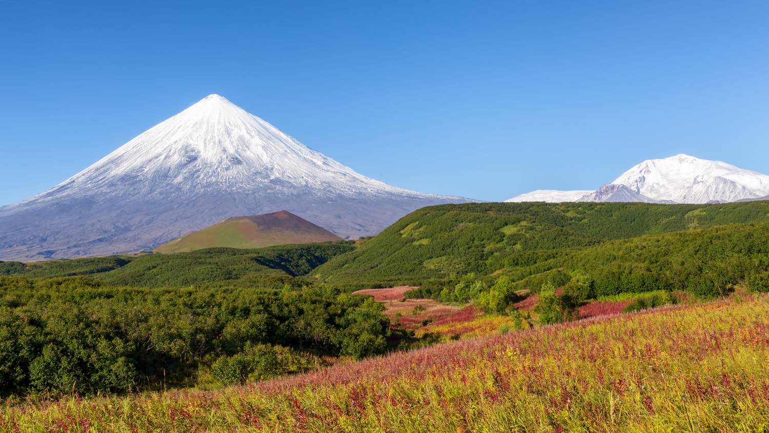 , Геннадий Теплицкий