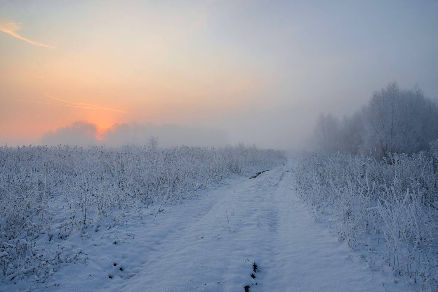 поле снег дорога рассвет природа пейзаж, Александр Строков