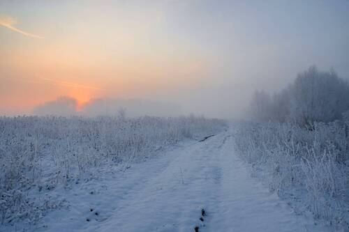 Рассвет в поле.