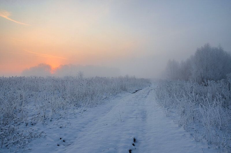 поле снег дорога рассвет природа пейзаж Рассвет в поле. фото превью