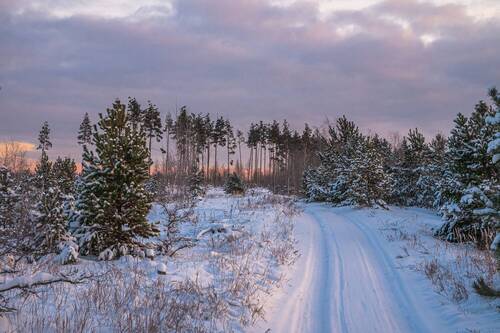 По утренней дороге.