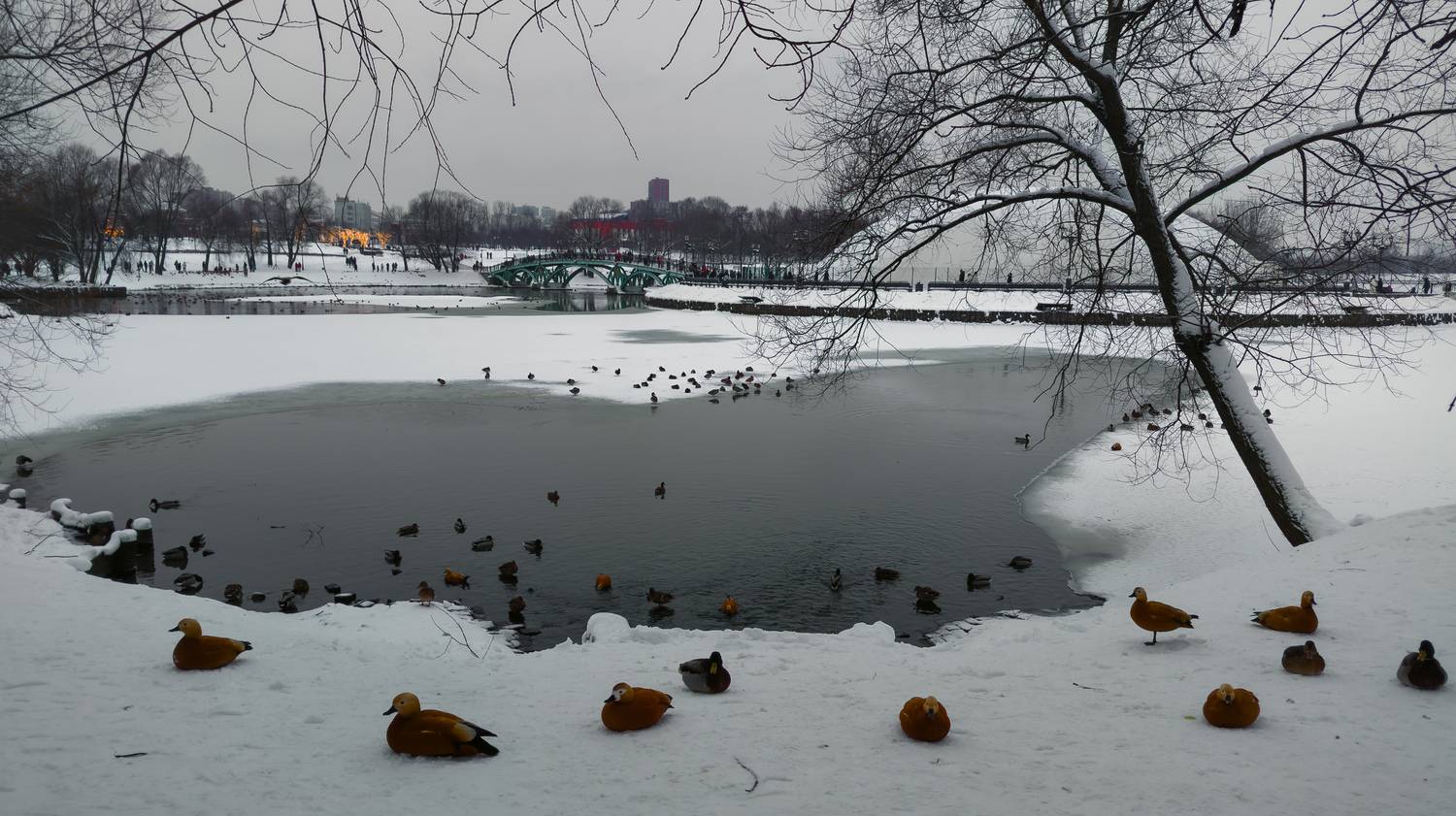 , Лысенко Сергей