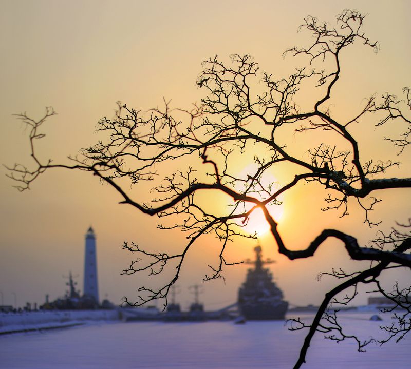 *** фото превью