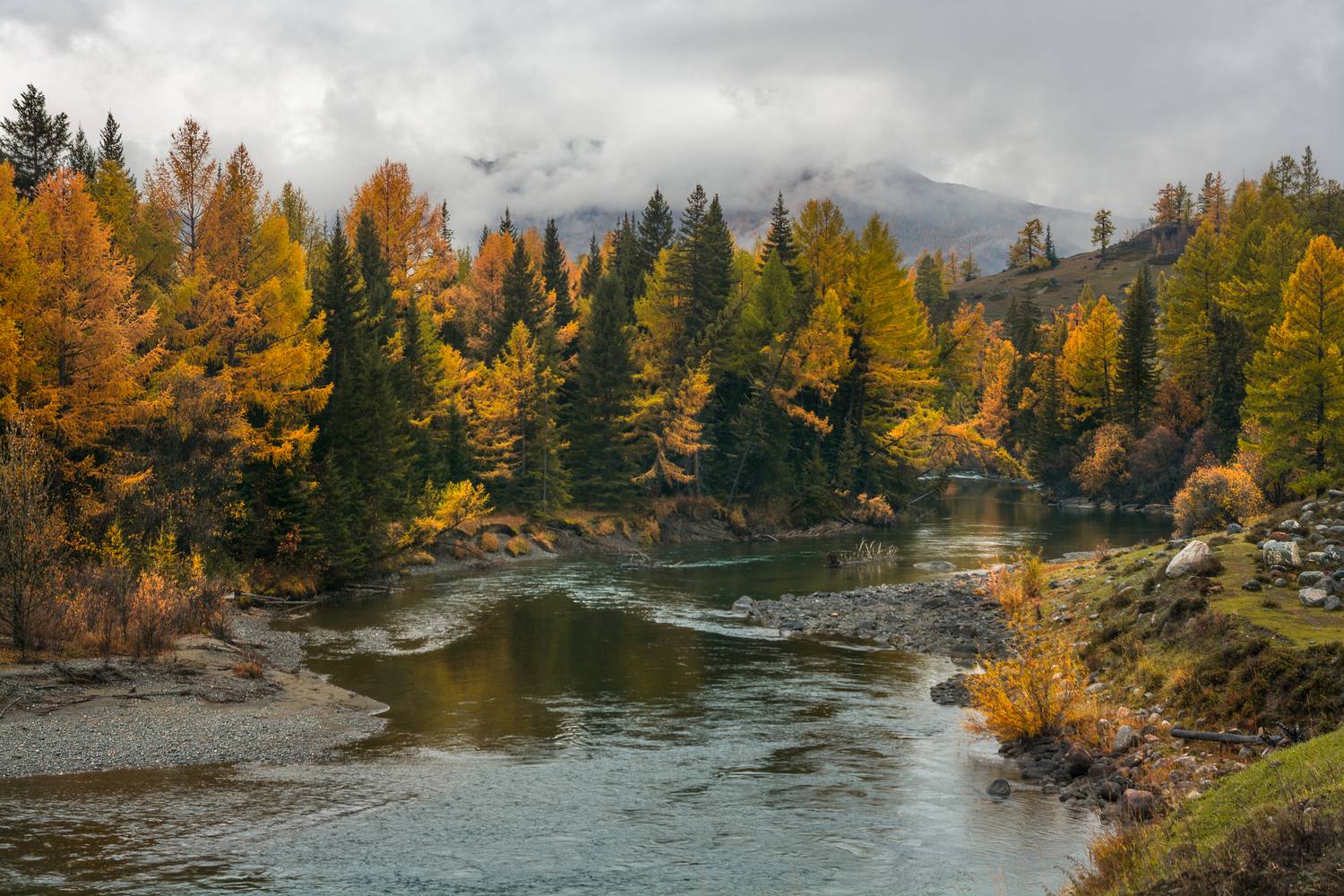 россия, горный алтай, река,  осень, утро, Андрей Поляков