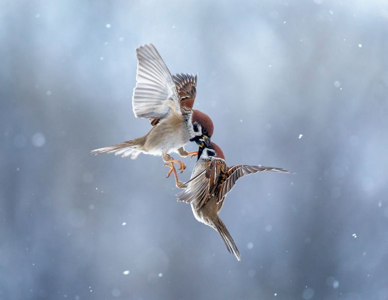 Не в бровь, а в глаз фото превью