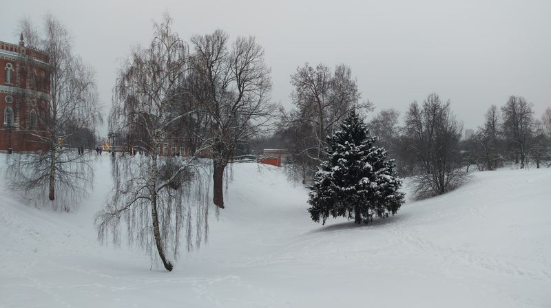 Зима в Царицыно. фото превью