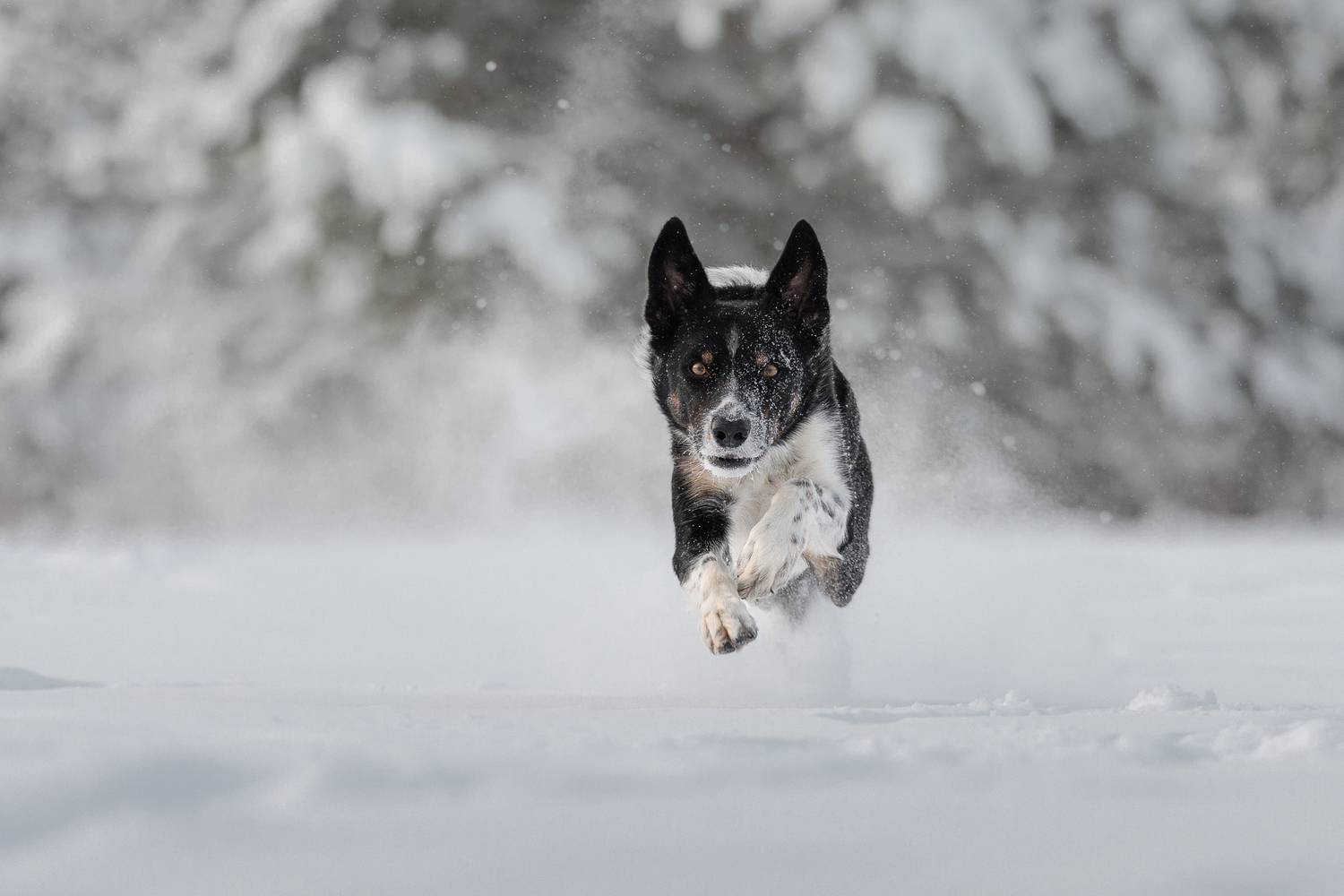 , Калинина Анна