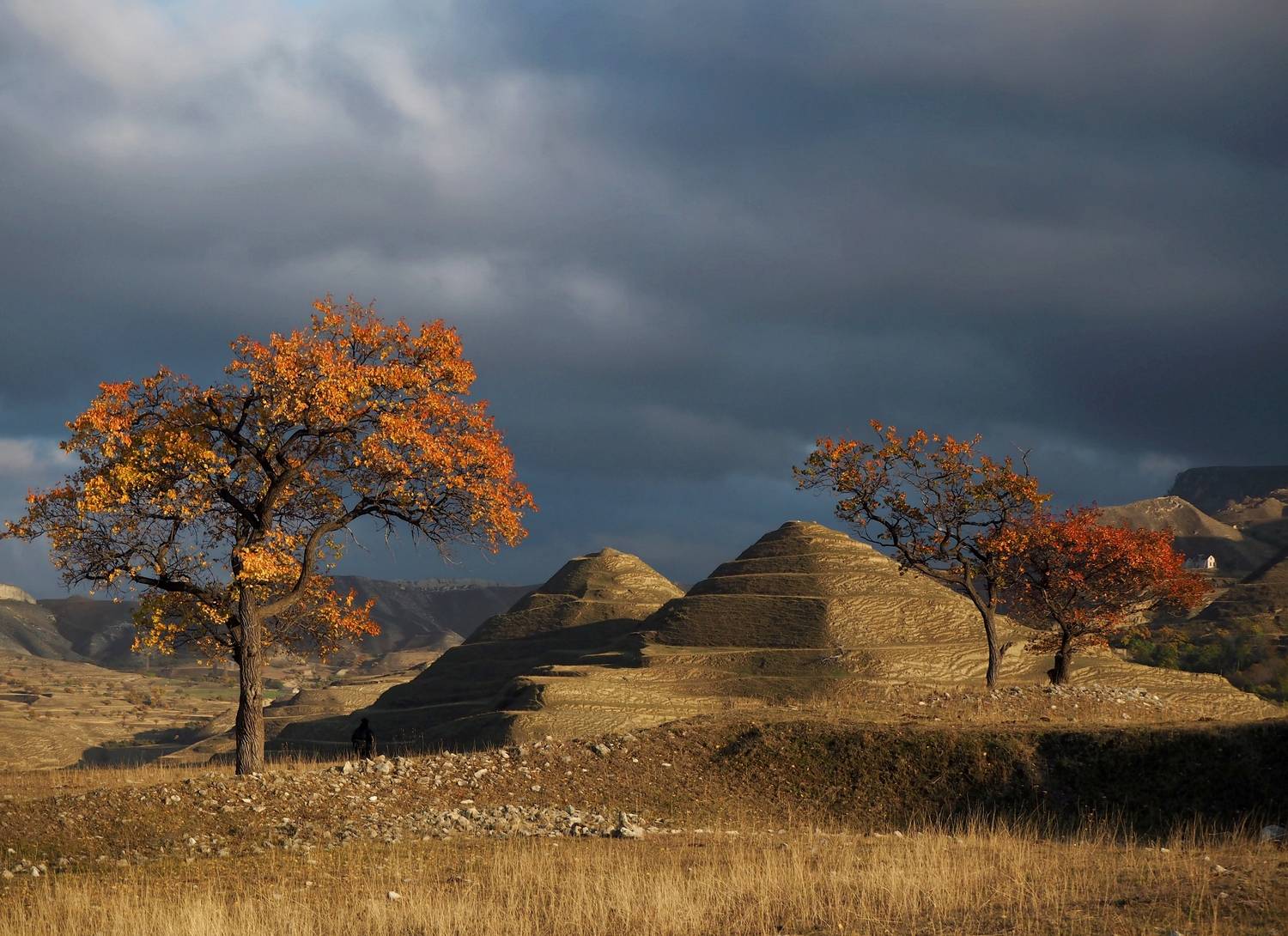 , Яковлев Евгений