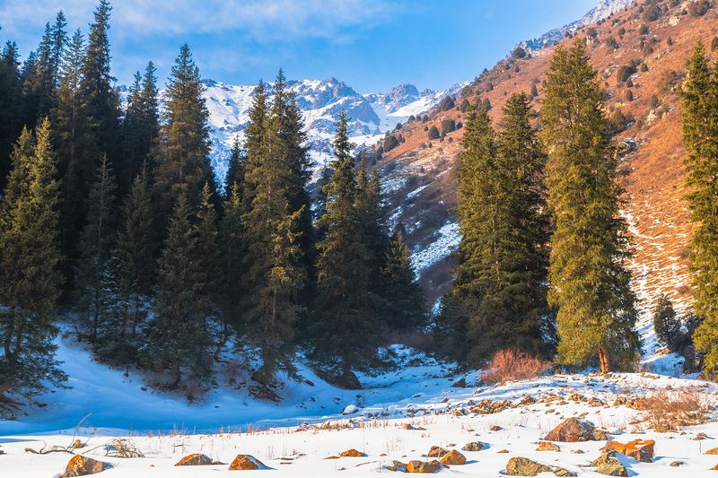 кыргызстан, ущелье кегеты Один день из жизни января фото превью