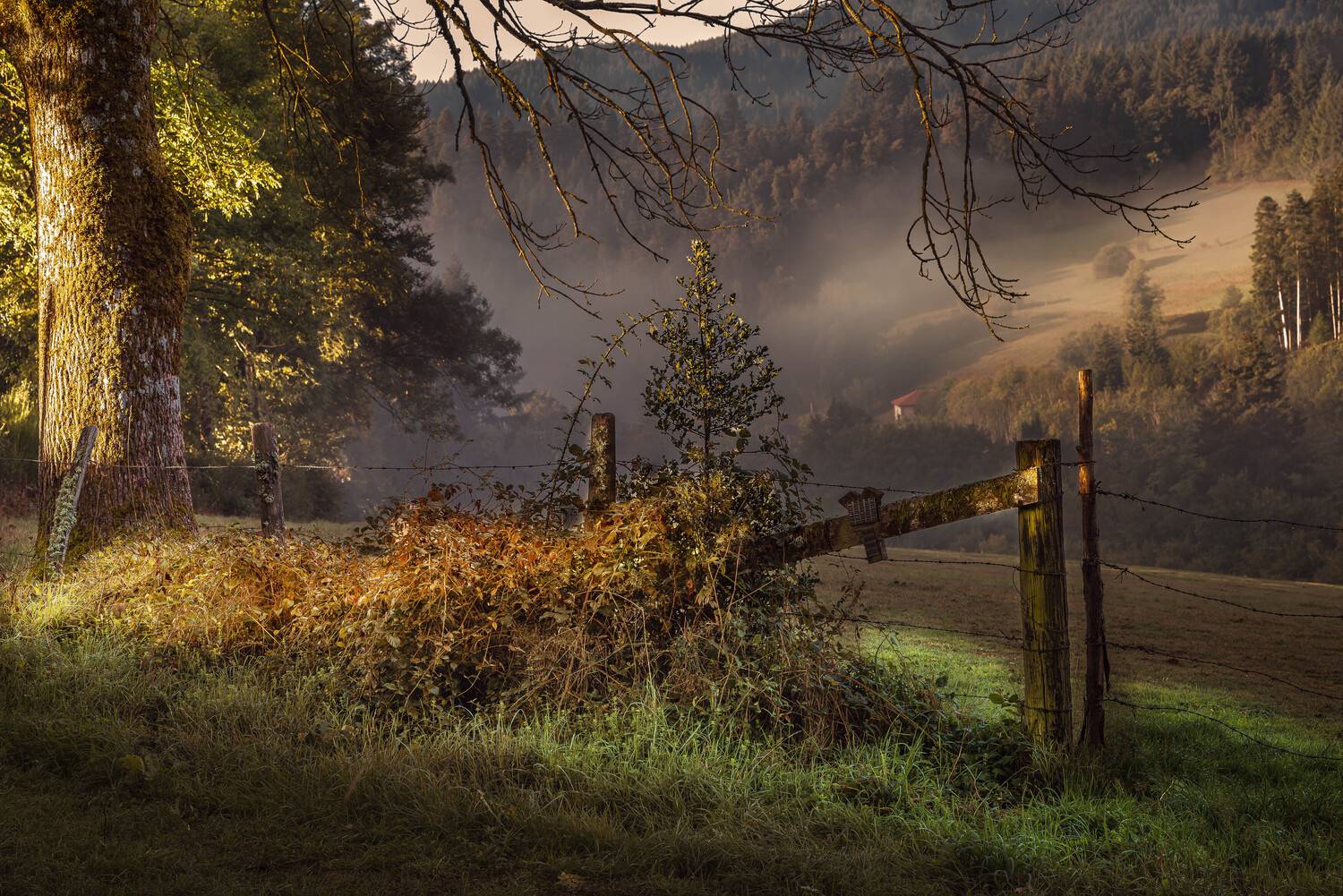 , Gasiorowski Wladyslaw