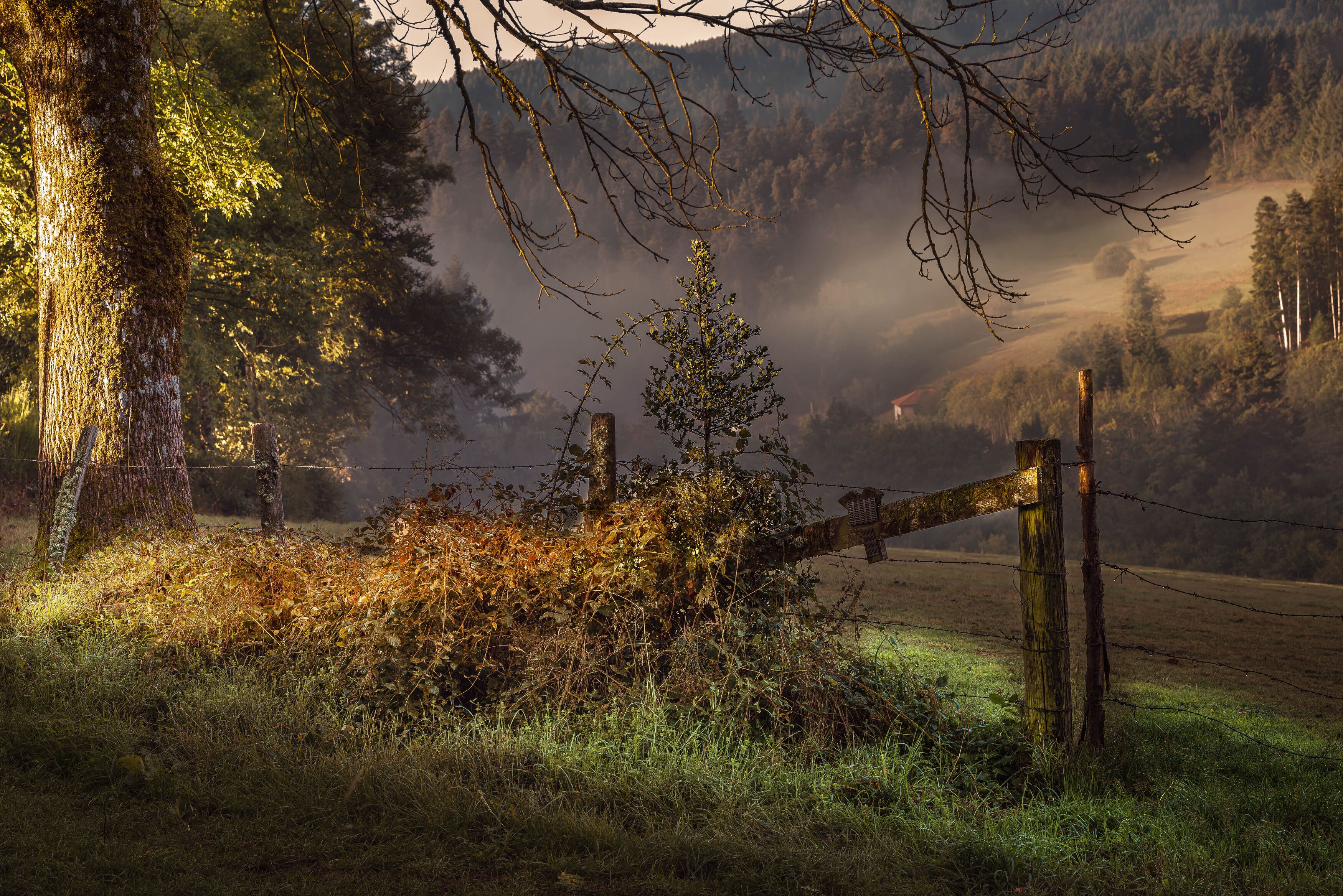 Pres de Lyon! фото превью