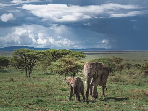 С мамой ничего не страшно.