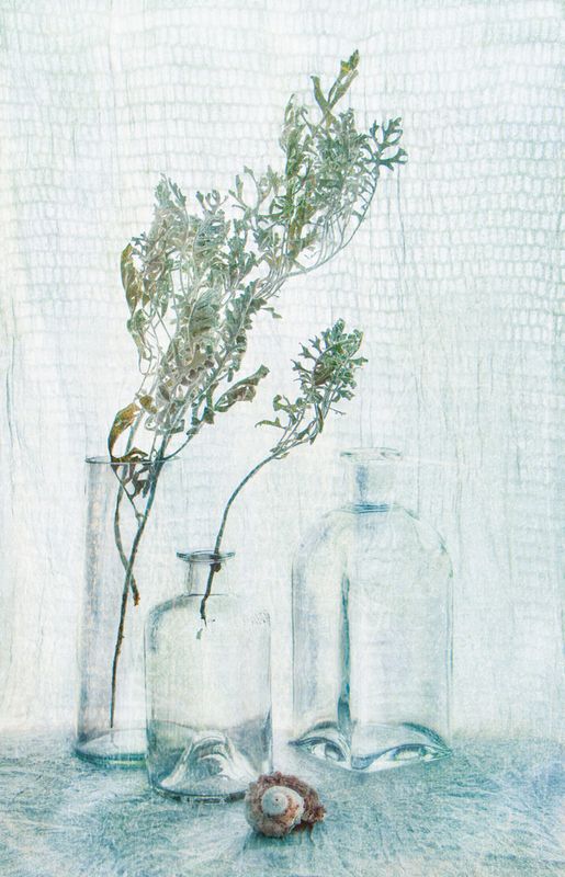 натюрморт раковина стекло сухоцвет букет  Изморозь фото превью